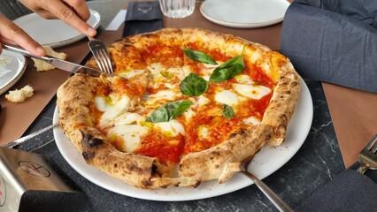 pizza pitsa hot fresh cheese and basilico