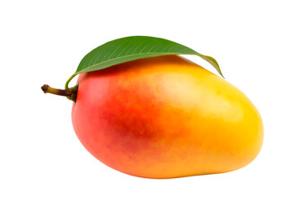 A yellow mango without leaves standing in a clean isolated on transparent background