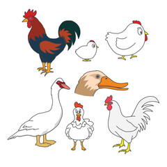 hand drawn vector collection of poultry animals. there are chickens, geese, ducks