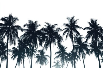 Silhouettes of tropical palm trees against a white background.
