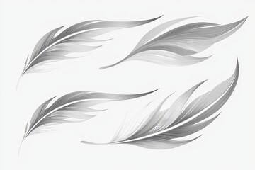 Obraz premium Gray feather graphic design.