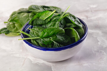 Raw green baby spinach plant