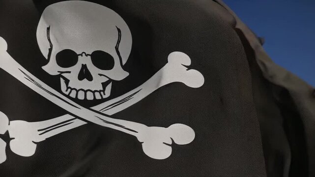 Majestic Pirate Flag in the Breeze Loop
