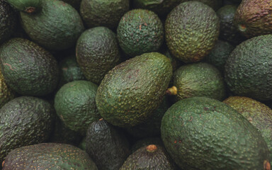 Fresh avocados in close-up, healthy organic fruit ideal for nutrition, diet, and superfood concepts.