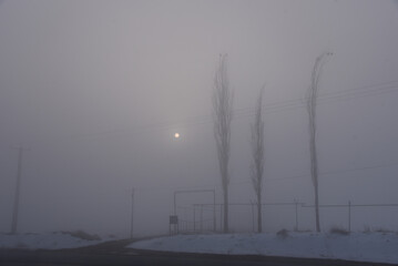 Artistic Photograph of a Foggy Day with Faint Sun and Shallow Depth of Field