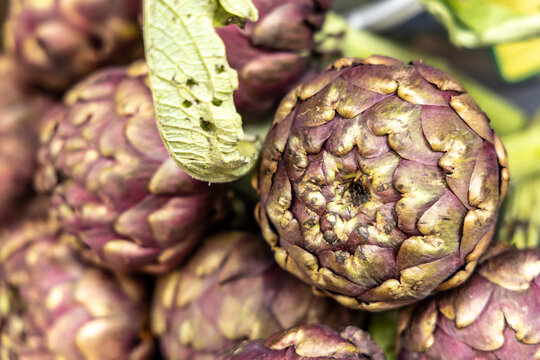 Group of artichokes at the market