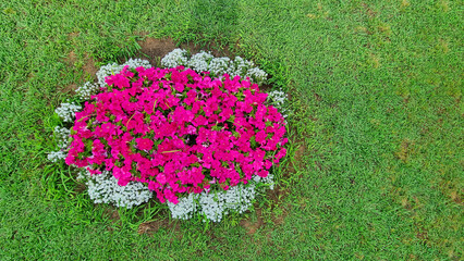 gflowers grass garden decoration