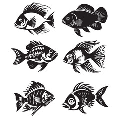 fish_group_vector_image