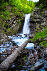 Himalayan Treks – Exploring Sar Pass, Snow Trails of Himachal & Uttarakhand Heights
