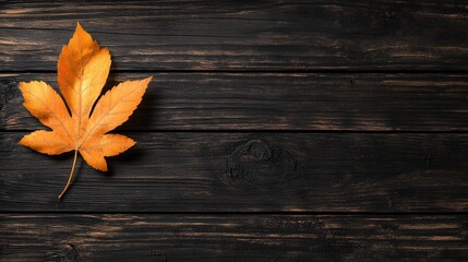 Single Autumn Leaf with Bright Orange Color on Dark Rustic Wooden Background for Seasonal Nature Theme