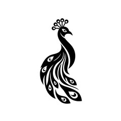 peacock vector illustration , Stylized black peacock with decorative head feathers on a white background