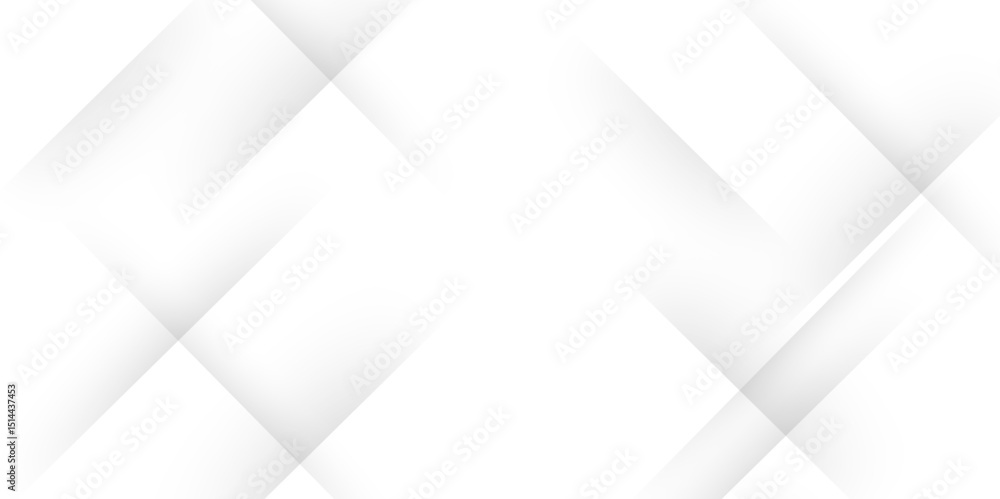Leinwandbilder elegant abstract background with grey lines with shadow. modern abstract gray line light dynamic sha