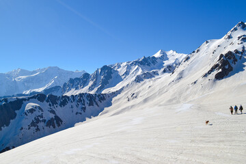 Himalayan Treks – Exploring Sar Pass, Snow Trails of Himachal & Uttarakhand Heights
