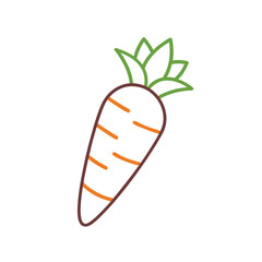 vector illustration of a carrot