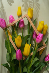 Multicolored fresh tulips in wooden picture frame in green background with trendy deep shadows....