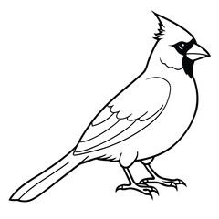 Obraz premium beautiful cardinal bird 