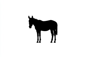 Fototapeta premium Silhouette of a donkey.
