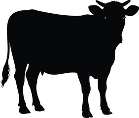 Black silhouette of a standing cow on a white isolated background
