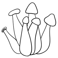 งานศิลปะที่ไม่มีชื่อ