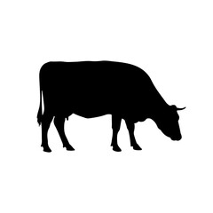 Qurbani Cow silhouette vector flat illustration design.