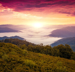 scenic summer lanfdscape, awesome morning dawn view, location Carpathian mountains, Ukraine,...