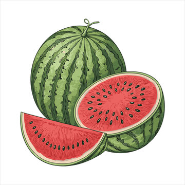 green striped watermelon slice, whole, cut clip art preview