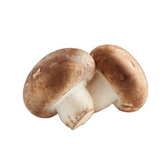 Fototapeta premium Two brown mushrooms, close-up, isolated on black background. Cap and stem visible