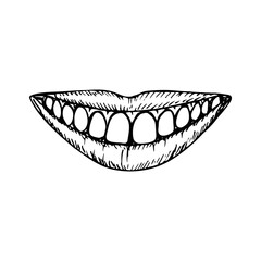 Smiling mouth with white healthy teeth sketch drawing, personal oral care, dentistry. Vector outline illustration, hand-drawn, isolated on a white background