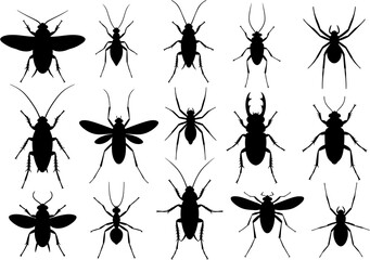 An array of fifteen insect and arachnid silhouettes fills the frame