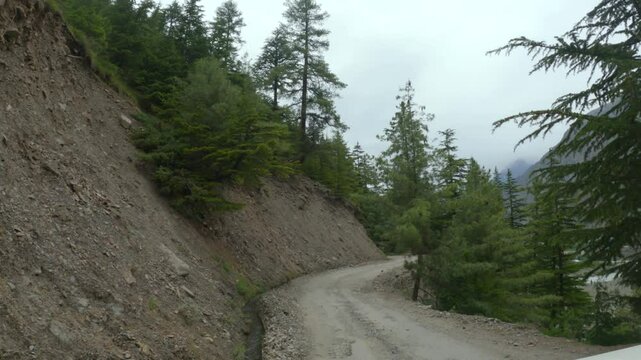 4K POV shot of a vehicle moving on an asphalt road between the Pine tree forest during a cloudy day in Pattan Valley, Lahaul and Spiti district, Himachal Pradesh, India. Scenic view of Himalayan road.