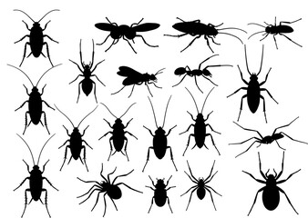 Array of silhouette insect images including cockroaches ants spiders and flies