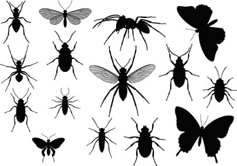 Many insect silhouettes are featured against a white backdrop