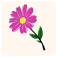 Vibrant Pink Daisy Flower Cartoon with background cream