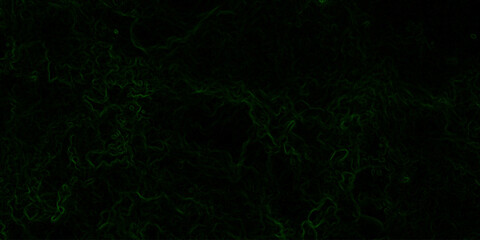 Abstract digital background with faint, glowing green electric lines and fluid. Mysterious, eerie, and atmospheric mood. Organic swirls resembling fog or ethereal energy currents.