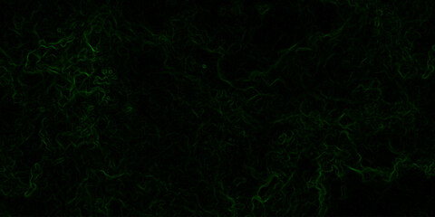 Abstract digital background with faint, glowing green electric lines and fluid. Mysterious, eerie, and atmospheric mood. Organic swirls resembling fog or ethereal energy currents.