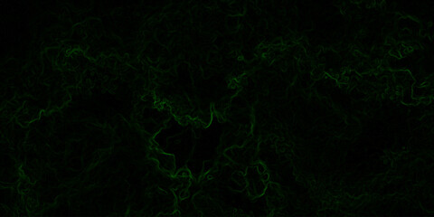 Abstract digital background with faint, glowing green electric lines and fluid. Mysterious, eerie, and atmospheric mood. Organic swirls resembling fog or ethereal energy currents.