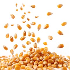Falling Corn Kernels Seeds Pouring Down, agriculture ,grain