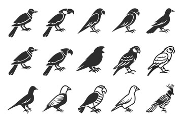 Fototapeta premium set of birds