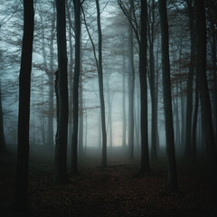 Naklejka premium Ethereal forest scene with dense fog and tall trees creating a moody atmosphere