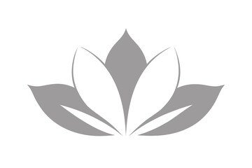 White petal symphony soft floral vector art illustration