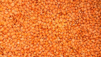 Close up reveals vibrant pile of uncooked, orangered lentils displaying a rich, textured surface