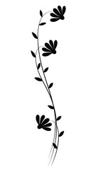 Silhouette decorative daisies flowers. Vector black and white daisies flowers garland. Outline illustration, isolated on white background, design elements	