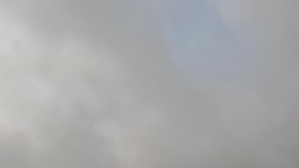 Overcast gray sky fills the frame, creating a soft, atmospheric cloudscape background