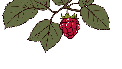 Single Ripe Raspberry on Branch with Leaves - Botanical Illustration