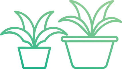 green plant in a pot