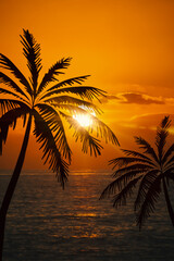 Obraz premium Beach Sunset Palm Tree Silhouette