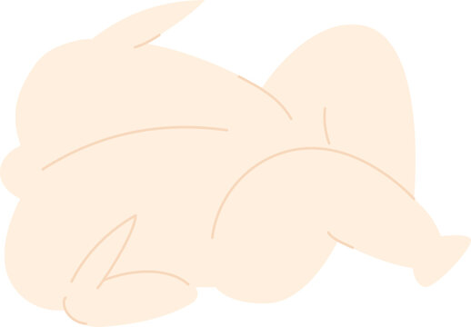 생닭