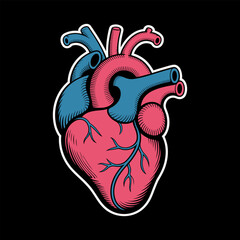 Human heart vector design illustration.