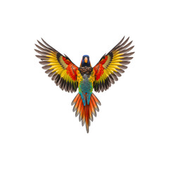 Obraz premium Colorful parrot in flight with open wings