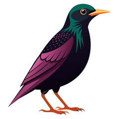 Obraz premium Elegant European Starling in Flight Vector Design